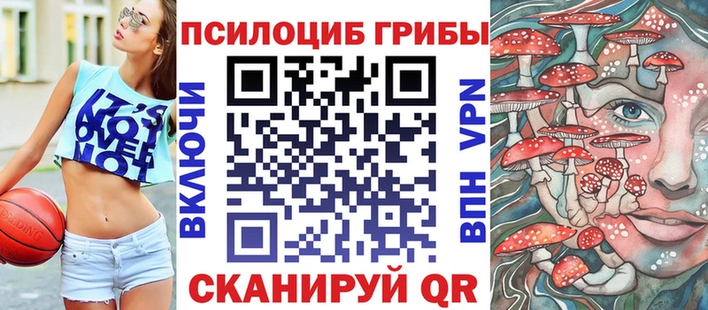 дарк нет состав  Красный Кут  Псилоцибиновые грибы GOLDEN TEACHER  гидра ТОР 